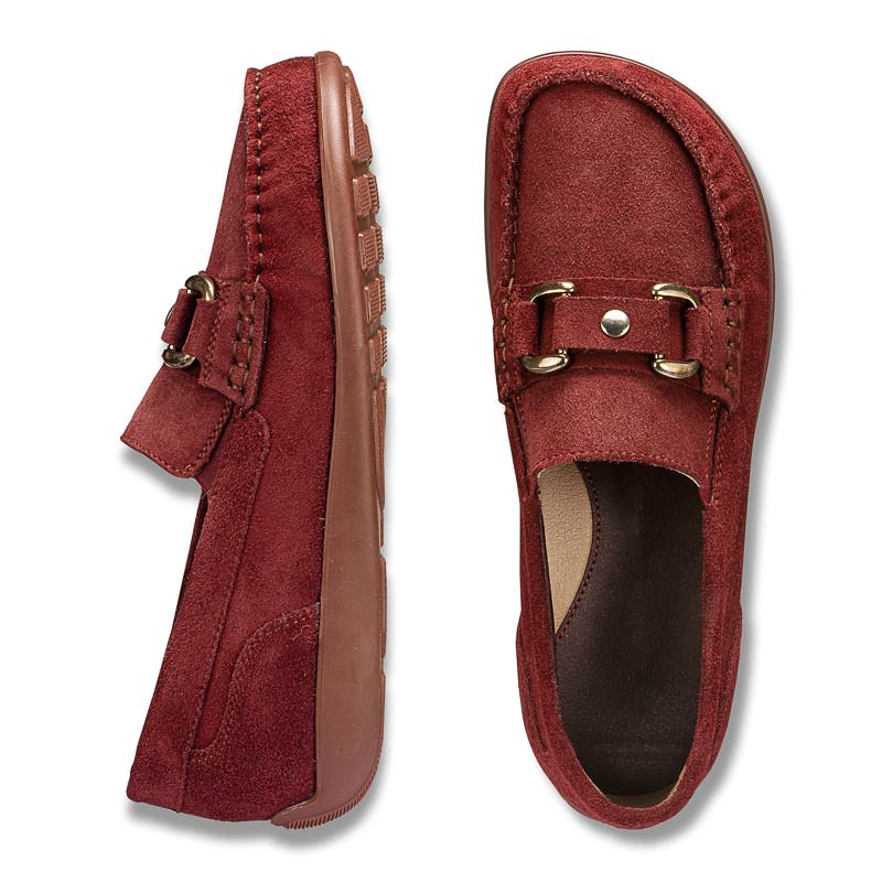 Chaussure confort dansko : BIBBI, bordeaux (cuir velours) Image 2