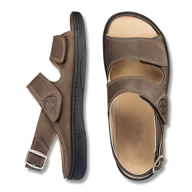 Chaussure confort Helvesko : CESAR, marron Image 2